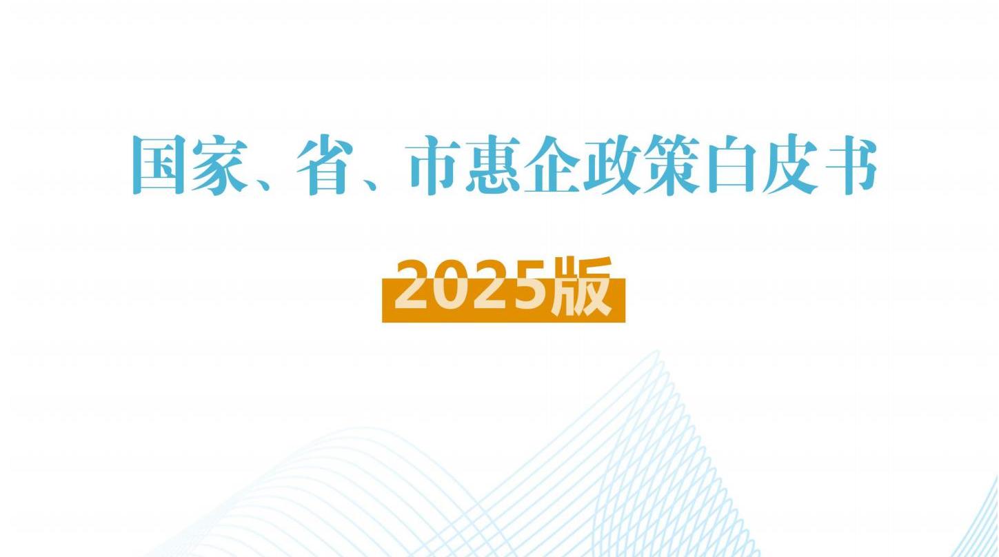 国家、省、市惠企政策白皮书2025版
