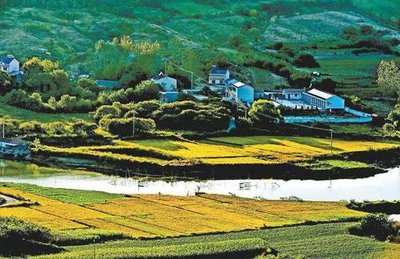 滁州创新“碳账户”破题企业绿色转型融资难