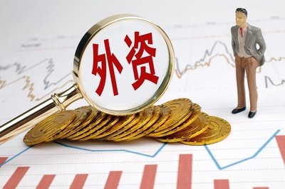 安徽省关于2024年对外投资合作政策拟支持项目的公示