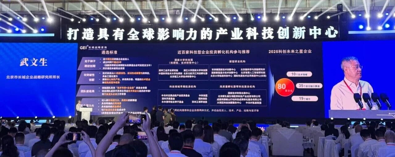 2025GEI中国“科创未来之星”企业名单