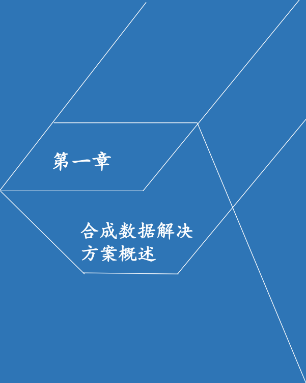 2025年中国合成数据解决方案发展洞察