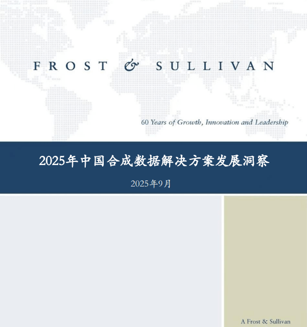 2025年中国合成数据解决方案发展洞察