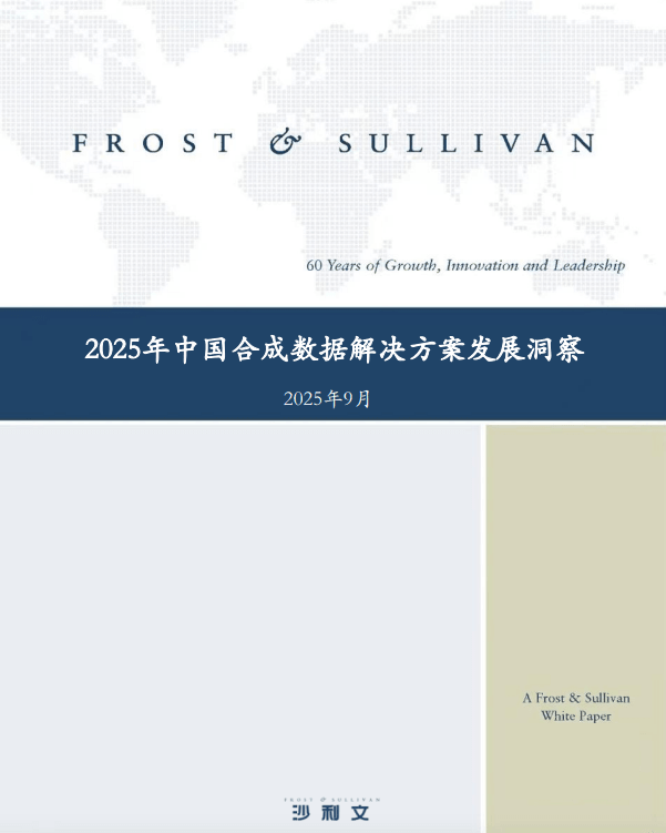 2025年中国合成数据解决方案发展洞察