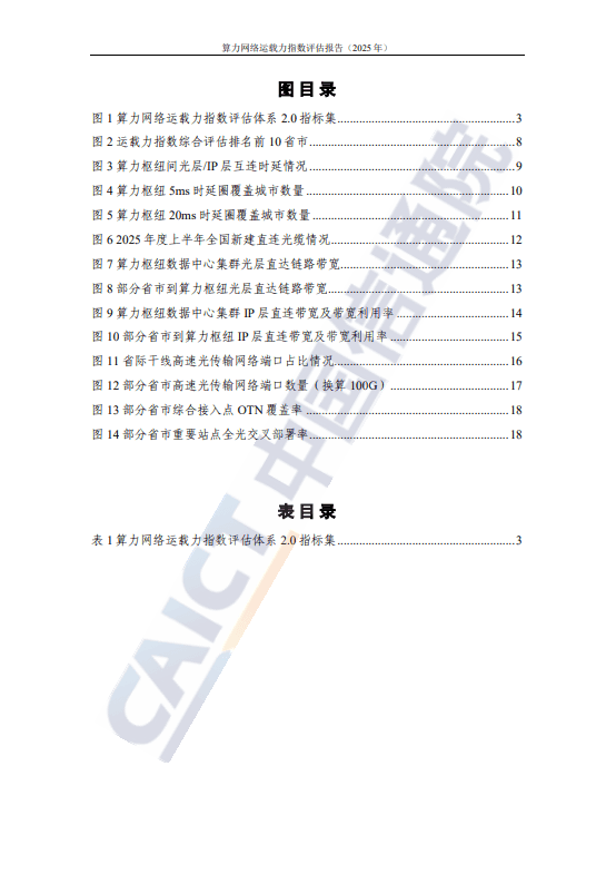 算力网络运载力指数评估报告(2025 年)