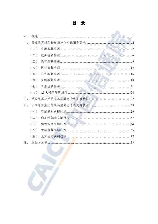 AI 时代高品质全光算力专线研究报告(2025 年)