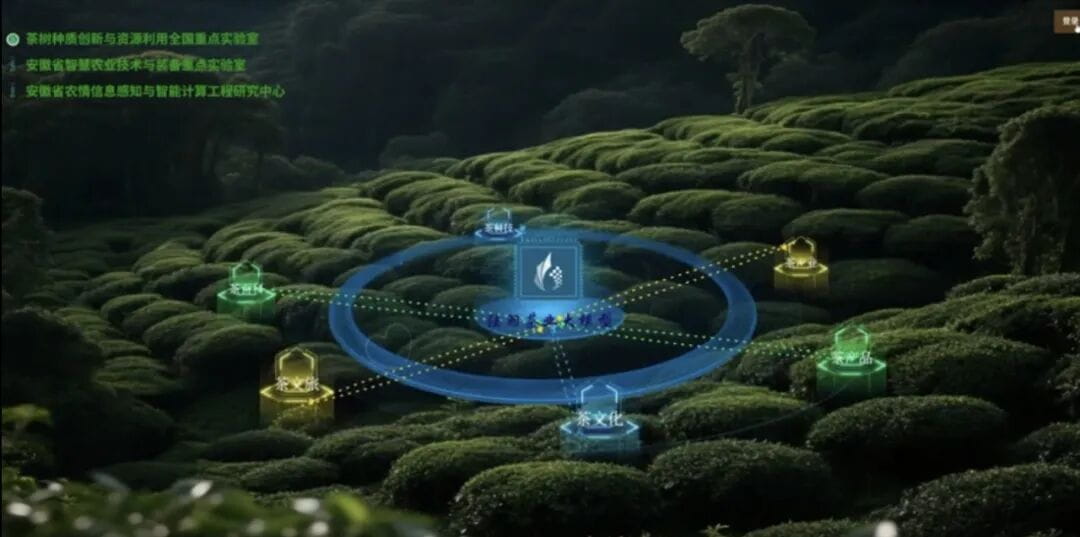 陆羽茶业大模型