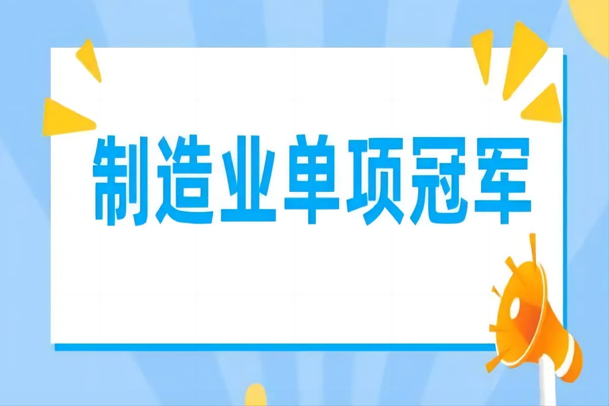 安徽省关于第九批制造业单项冠军企业和通过复核的第三批、第六批制造业单项冠军企业的公示