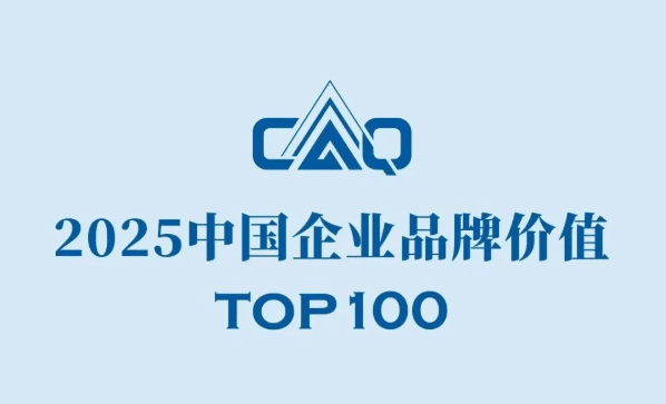 2025中国企业品牌价值TOP100榜单