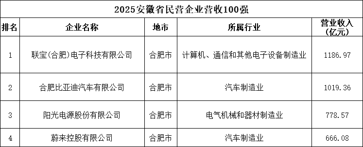 2025安徽省民营企业