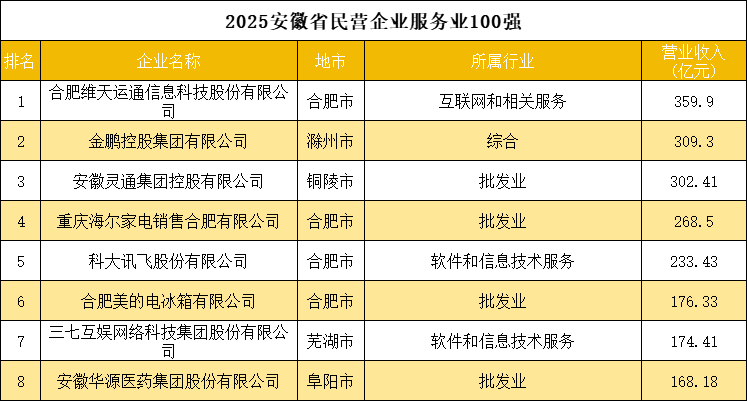 2025安徽省民营企业服务业100强