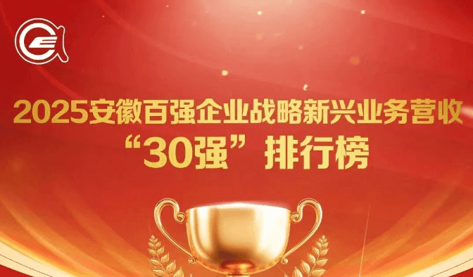 了2025安徽百强企业战略新兴业务营收“30强”