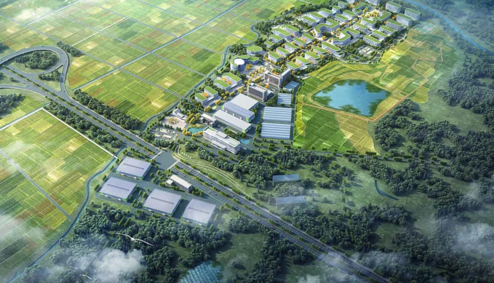 国家级创新平台牵手合肥打造种业科技园