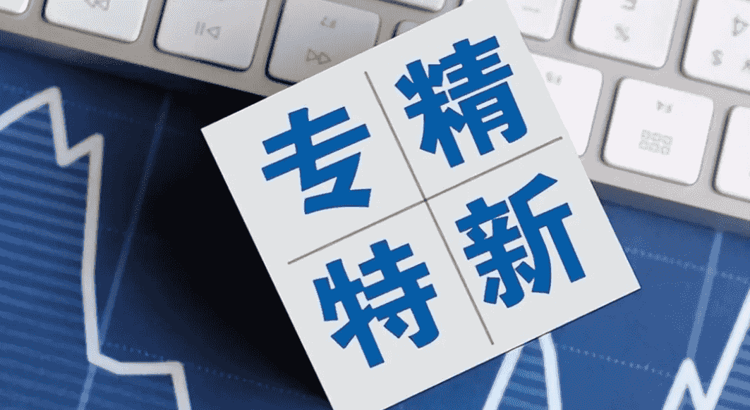 安徽省2025年国家制造业单项冠军企业、专精特新“小巨人”企业拟支持资金项目公示
