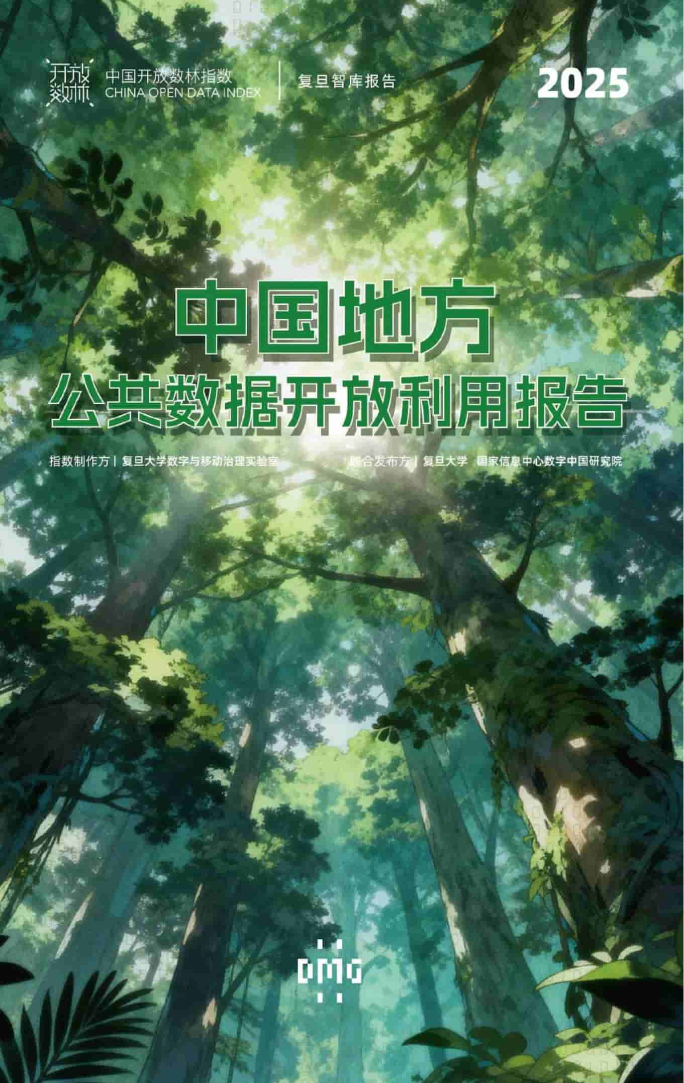 2025年中国地方公共数据开放利用报告
