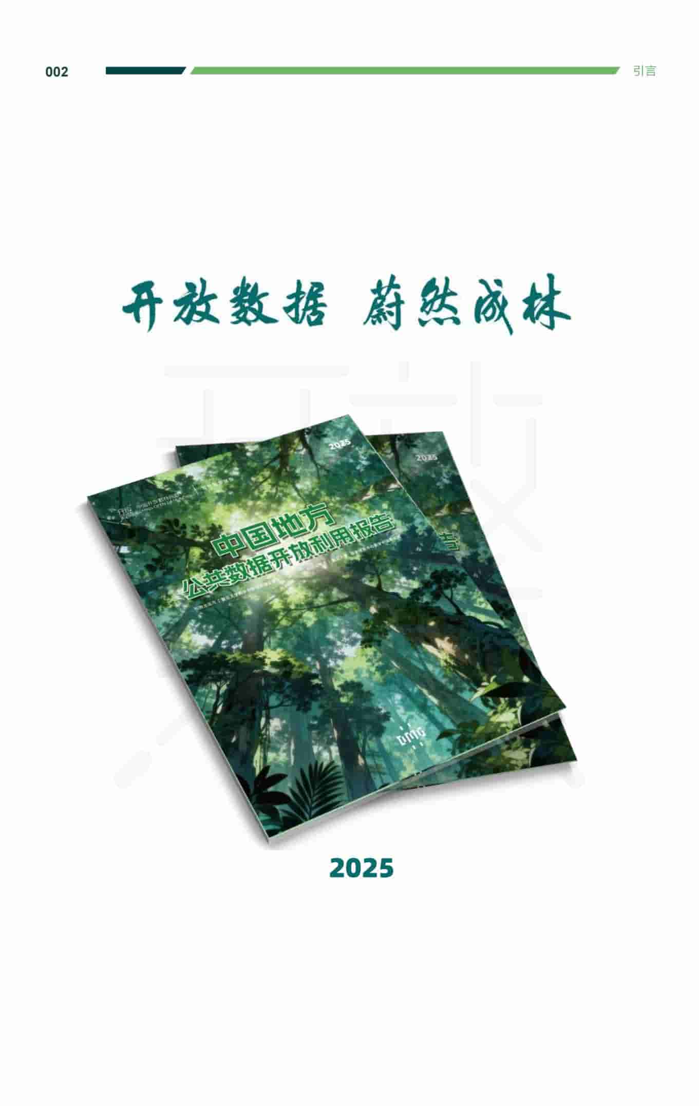 2025年中国地方公共数据开放利用报告