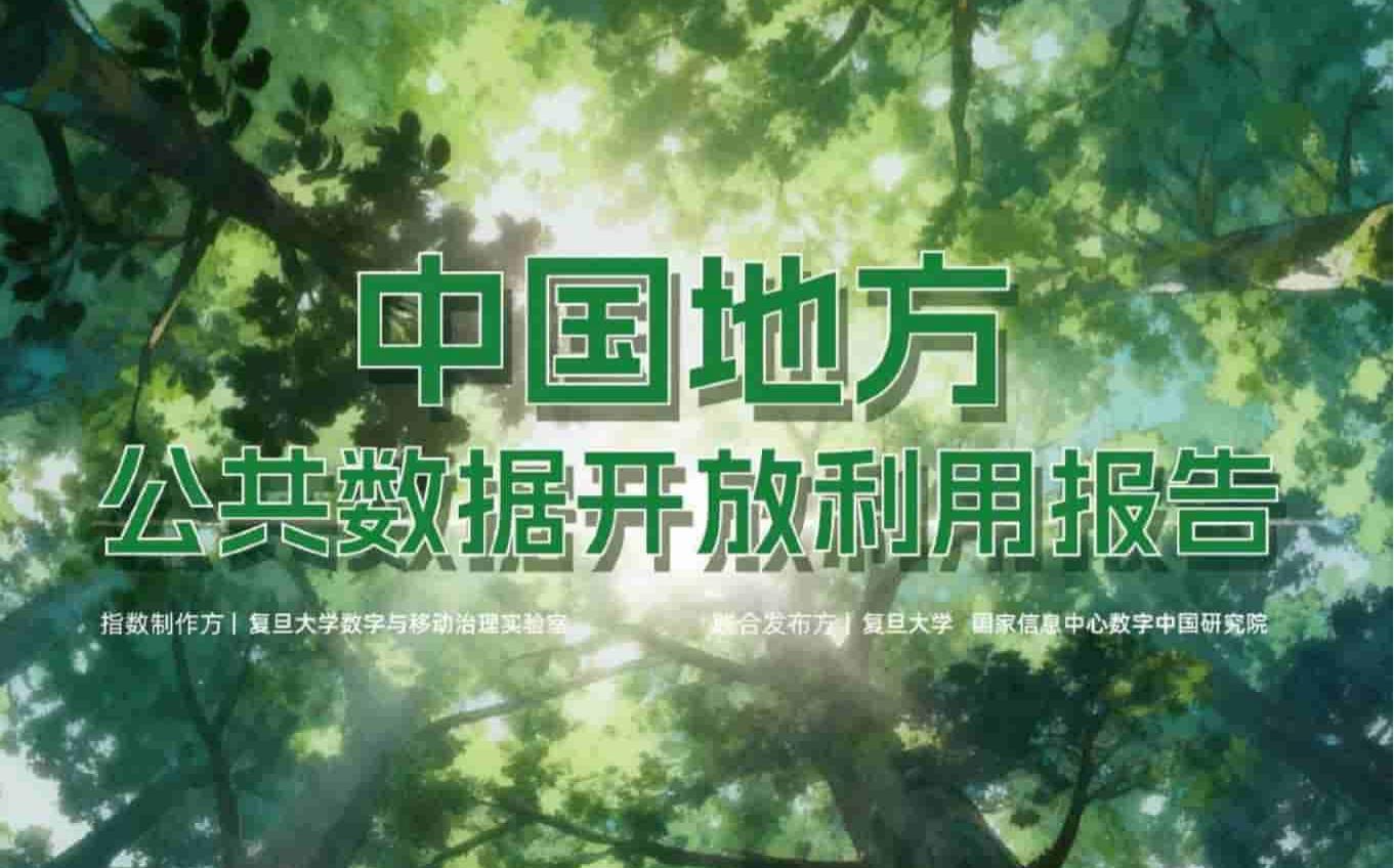 2025年中国地方公共数据开放利用报告