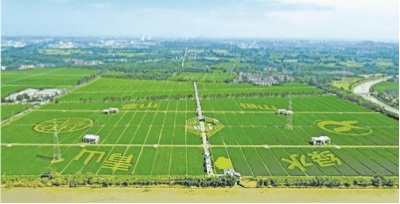 2025年安徽省亩均效益领跑者名单正式公布