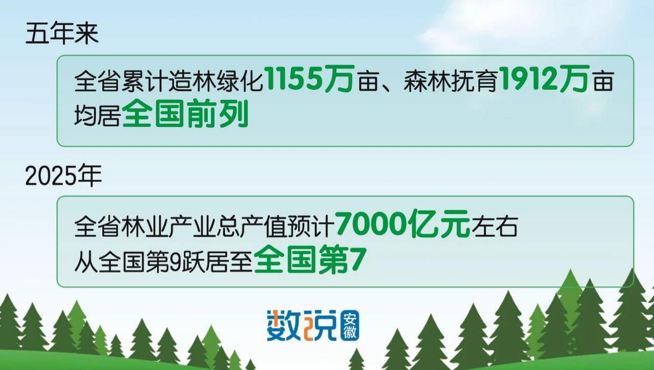 安徽省林下经济利用林地面积超1400万亩