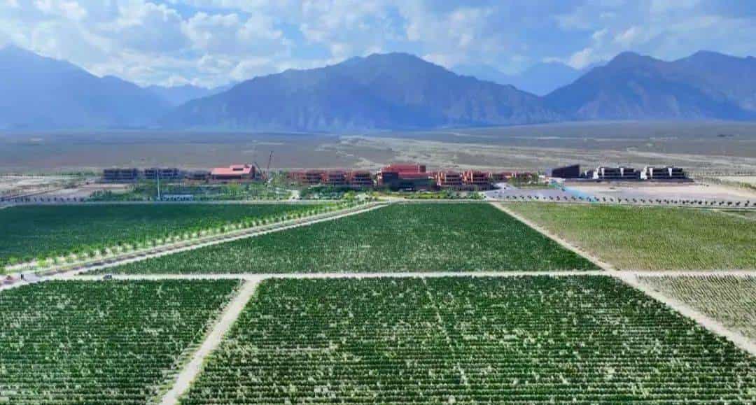 什么是基层“三保”底线？