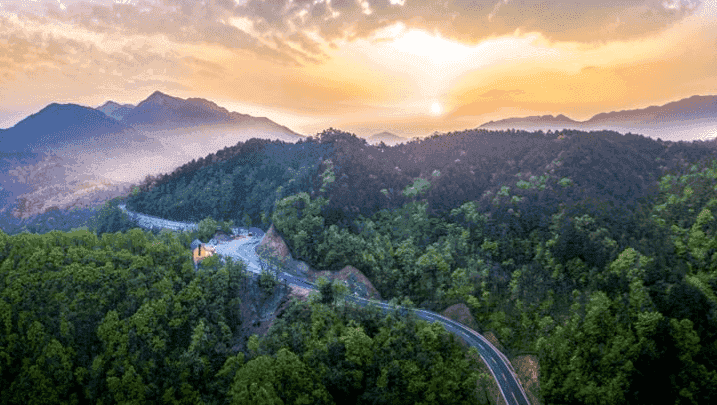 全国首单林业目标碳票碳减排量保险落地