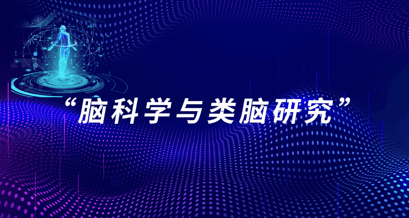 关于做好“脑科学与类脑研究”国家科技重大专项2026年度项目申报指南的通知
