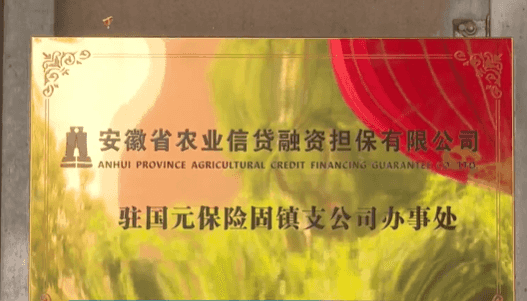 全国首家！“农业保险+农业担保”县级一体化服务点揭牌成立