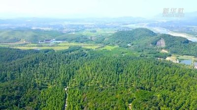安徽省林业碳票实现跨省交易