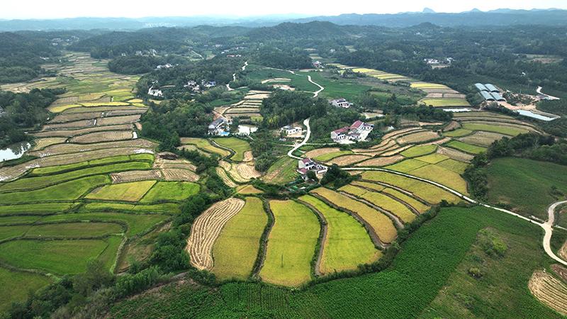安徽省首单“农业水权交易+水保险”落地六安