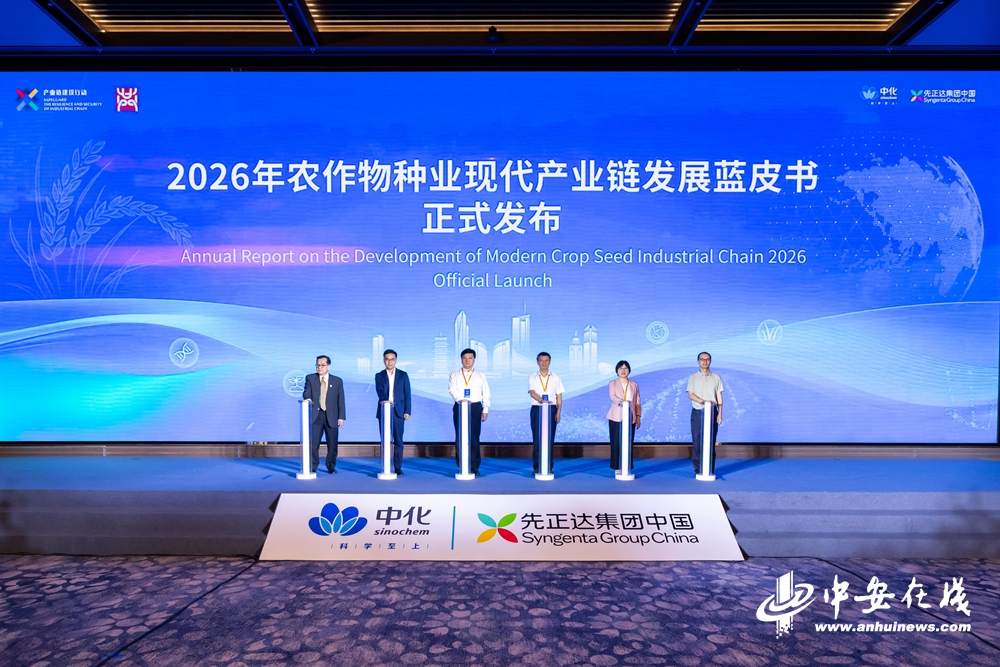 全球水稻技术创新中心在皖落地