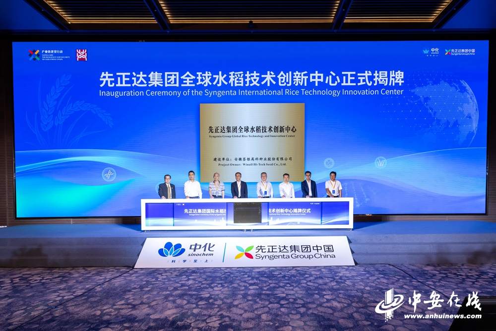全球水稻技术创新中心在皖落地