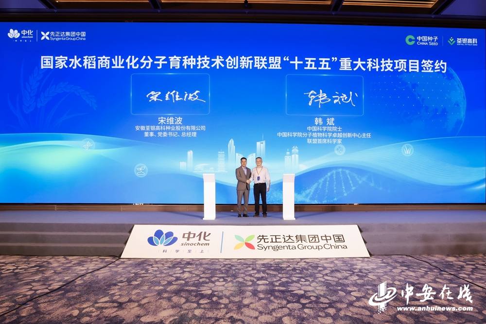 全球水稻技术创新中心在皖落地