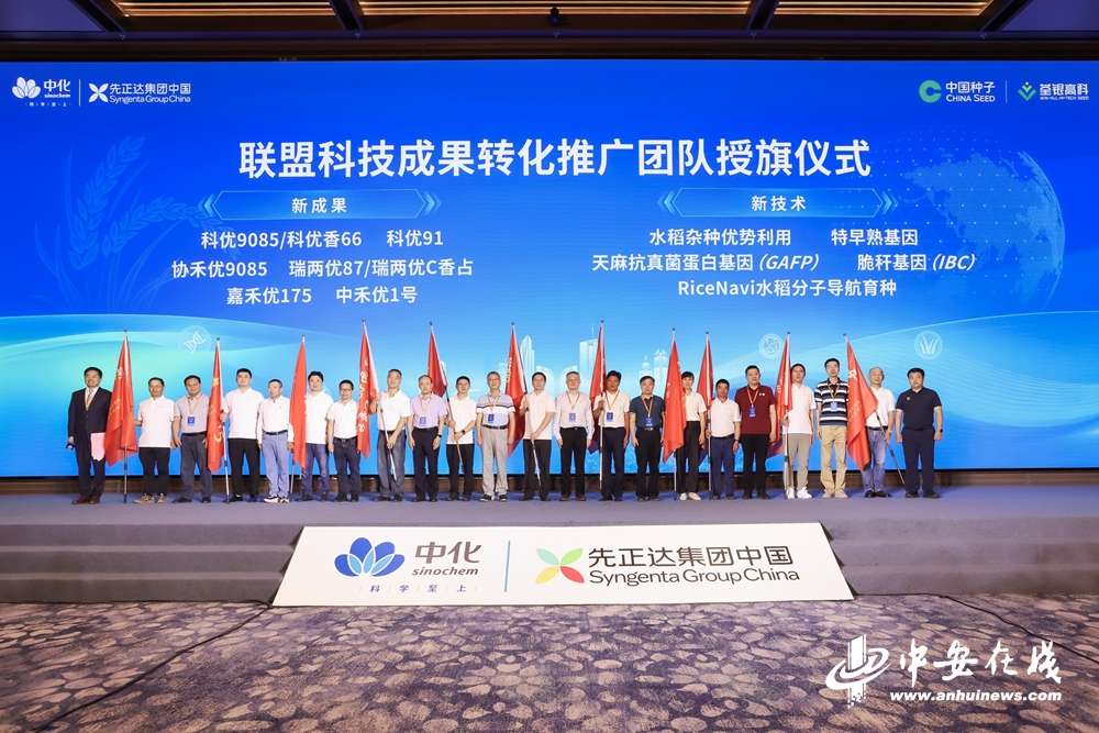 全球水稻技术创新中心在皖落地